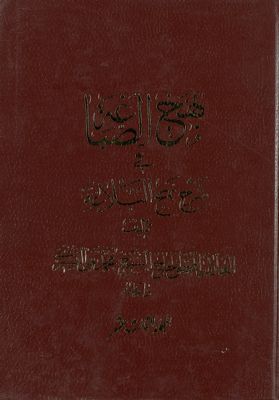 بهج الصباغة في شرح نهج البلاغة. juz 13 — غلاف