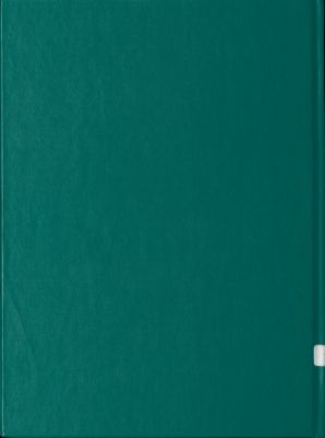 سكة حديد الحكومة السعودية وميناء الدمام. — غلاف