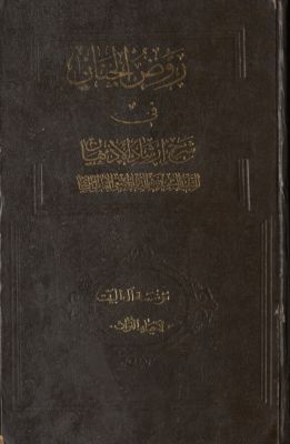 روض الجنان في شرح ارشاد الأذهان — غلاف