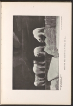 Sequence 40