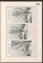 Sequence 49