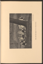 Sequence 66